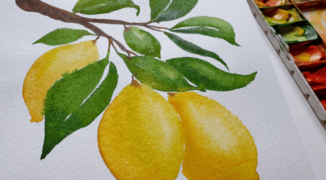 Усан будгийн цаасны чанар