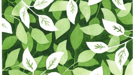 Negative  зураг